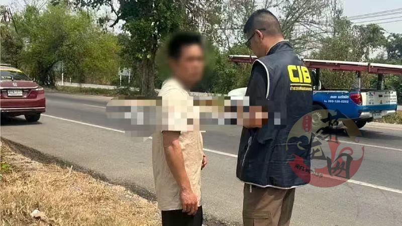 中国籍电诈团伙在泰“翻车”，10人被捕-棋牌策略-棋牌技巧-棋牌论坛
