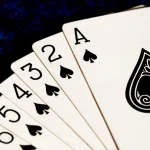 21点加注策略：掌握正确时机的关键-棋牌策略-棋牌技巧-棋牌论坛