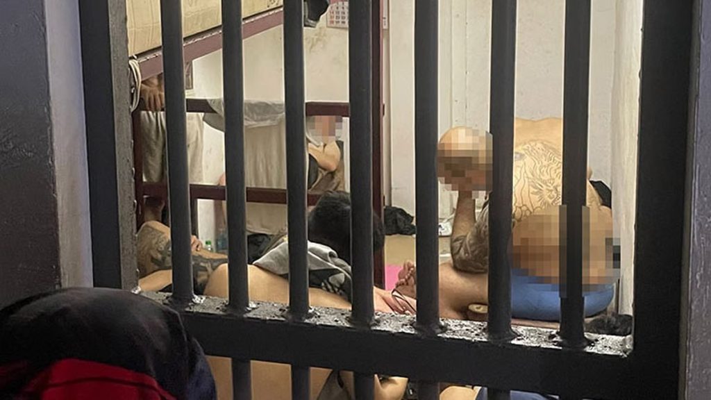 17名台湾籍嫌犯宿务落网！涉“情感诈骗”与跨国洗钱-棋牌策略-棋牌技巧-棋牌论坛